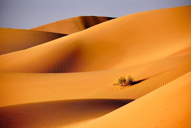 Private 2 Days 1 Night Wahiba Sands Desert and Wadi Bani Khalid Tour - What the $580 price really covers