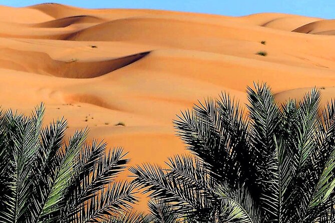 Private 2 Days 1 Night Wahiba Sands Desert and Wadi Bani Khalid Tour - Meeting a Bedouin family in Wahiba Sands