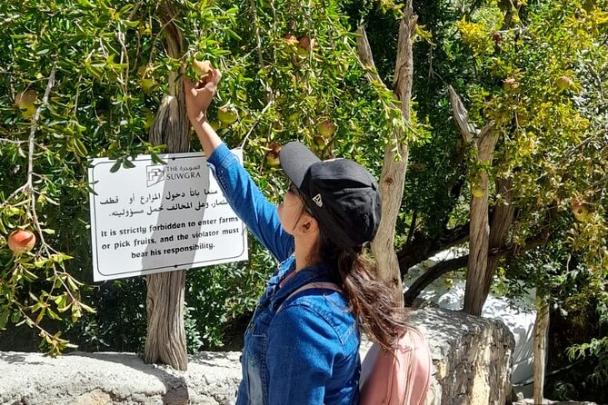 Private 2 - Days Jebel Akhdar Overnight Camping Tours - Nizwa Souq, a useful hour beside the fort