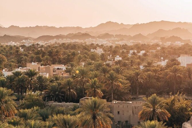 Private Day Tour to the Enchanting Forts of Nizwa - Is $212 per person good value?
