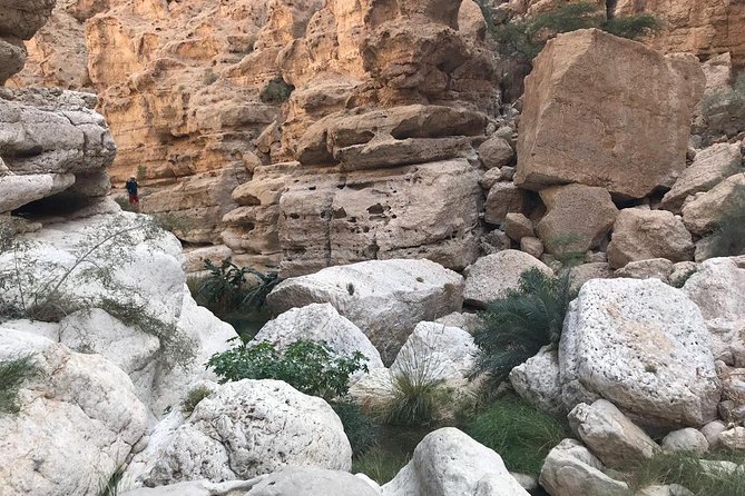 Private Day Trip to Wadi Shab & Bimmah Sinkhole Price Up To 5 Persons - A brief pause at Fins Beach