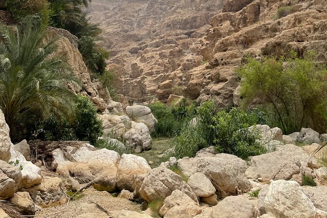 Private Day Trip to Wadi Shab, Fins Beach & Bimmah Sinkhole - Practical preparation for a smoother day