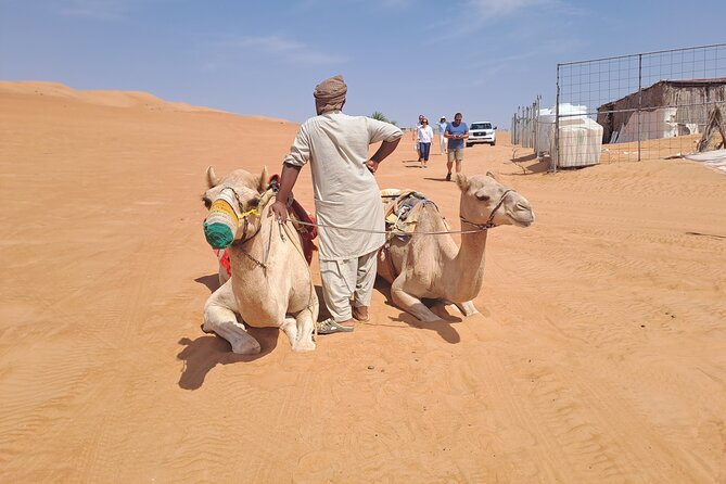 Private Desert and Wadi Tour in Oman - The guide and the small-group experience