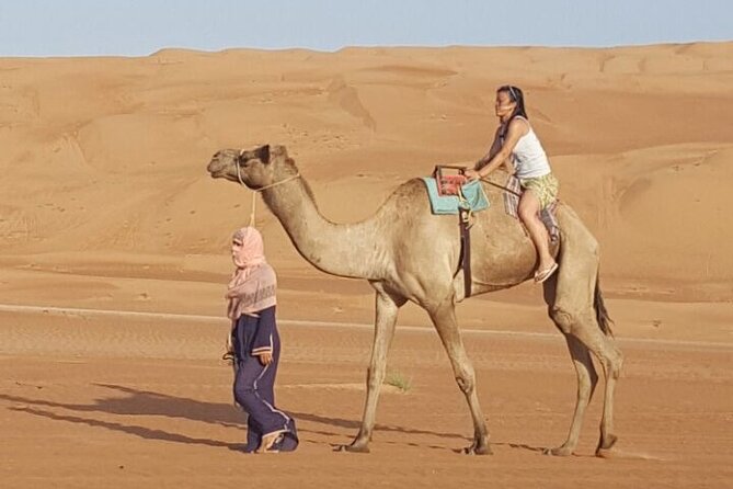 Private Desert Tour with Activities - Full Day - A Bedouin house and the meaning of the Gata