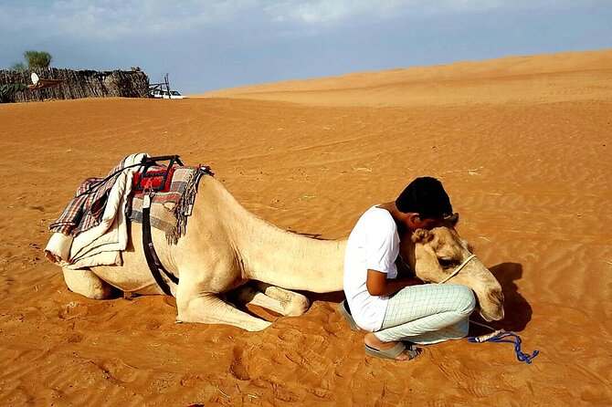 Private Desert Tour with Activities - Full Day - Quad biking across the sand