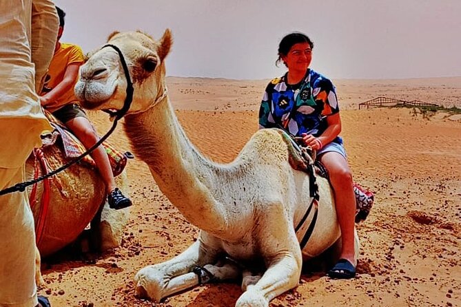 Private Desert Tour with Activities - Full Day - Dune driving in a 4WD vehicle