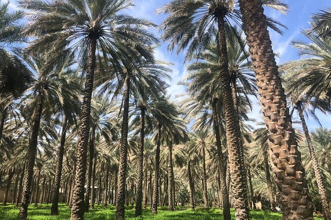 Private Friday Cattle Market-Nizwa and Jebel Akhdar-Full-Day Tour - Birkat Al Mouz and the Aflaj Irrigation System