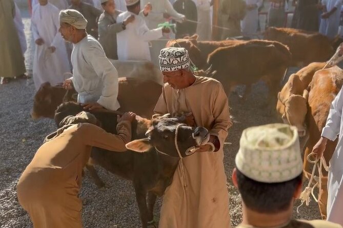 Private Friday Cattle Market-Nizwa and Jebel Akhdar-Full-Day Tour - The Private 4WD Setup and Guide Quality