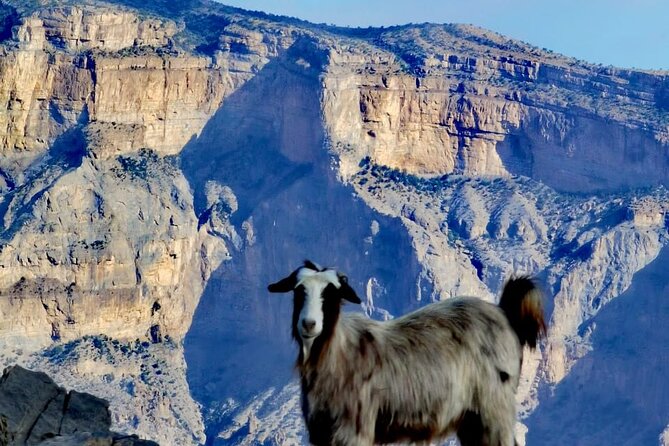 Private Full Day Guided Balcony Walk Hiking to Jebel Shams - What the $209 price really covers