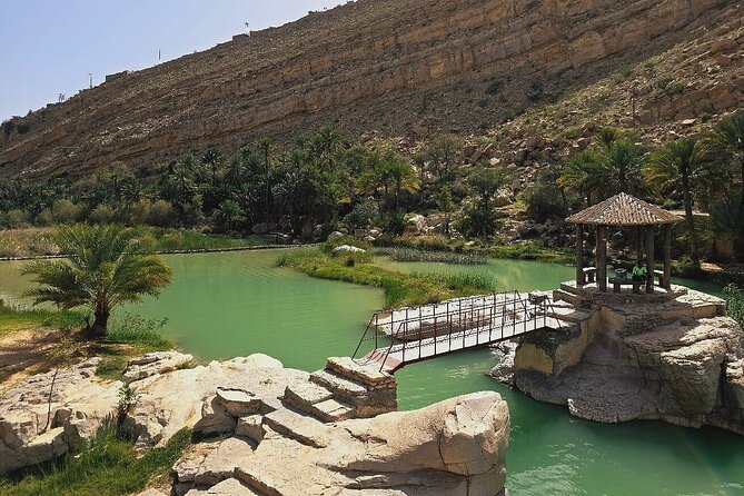 Private Full Day Private Desert Safari Tour - What the $175 private tour really gives you