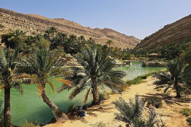 Private Full Day Private Desert Safari Tour - Who should book this desert and wadi combination?