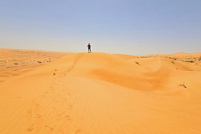 Private Full Day Tour to Wahiba Sands Desert and Wadi Hawer - What Guide Quality Adds to the Day