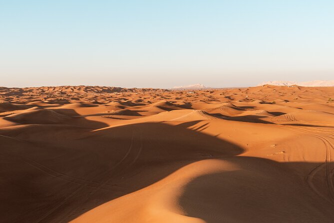 Private Full Day Tour to Wahiba Sands Desert and Wadi Hawer - Who Will Enjoy This Day Most?