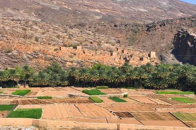 Private Full Day Trekking In the Grand Canyon (Balcony Walk) - Al Sab, an abandoned village on the route