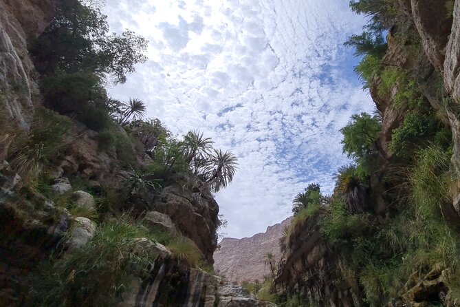 Private Full-Day Wadi Tiwi and Bimmah Sinkhole Tour from Muscat - What the 4WD and Private Setup Add