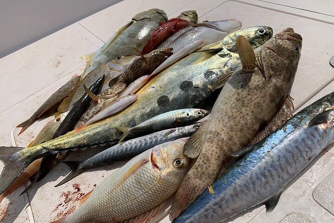 Private Game Fishing Trip with Sightseeing in Muscat - The boat, equipment, and onboard comfort