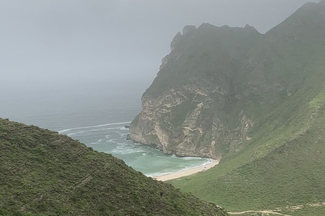 Private Guided Tour to West Beaches of Salalah - Why Salalah’s western coast deserves a full day