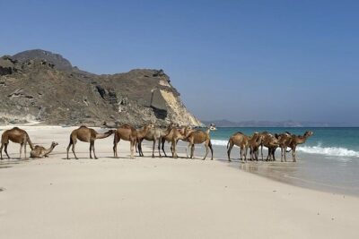 Private Guided Tour to West Beaches of Salalah