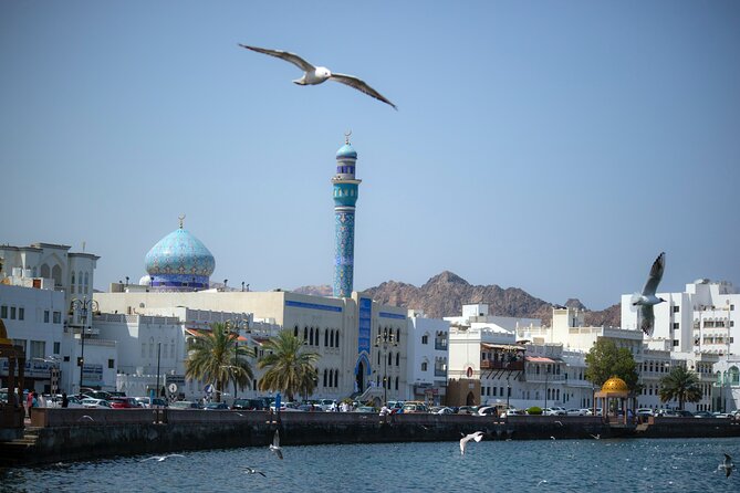 Private Half-day Tour in Muscat - A Private Luxury Car Makes the Price Easier to Understand
