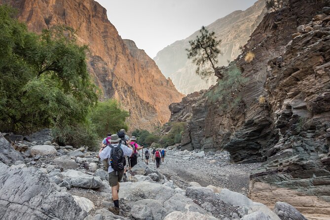 Private Muscat tour to the Grand Canyon Nizwa - Al Hamra’s old houses and quiet lanes