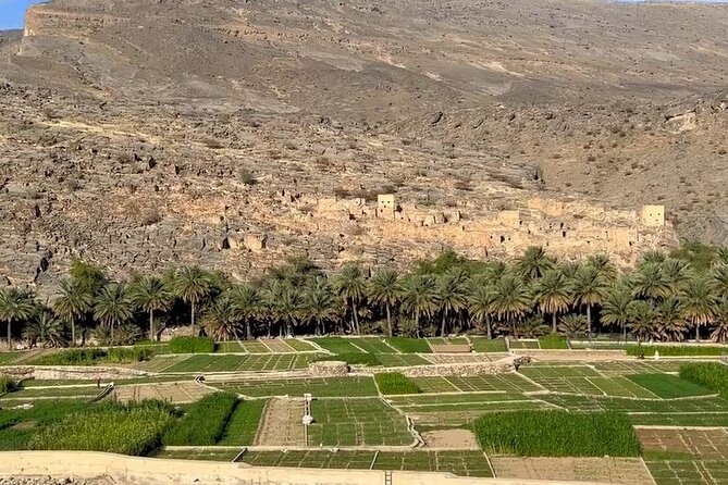 Private Nizwa - Al Hamra Old Village - Misfah Al Arbyeen - Full Day Tour - Misfah Al Abriyyin and the falaj water system