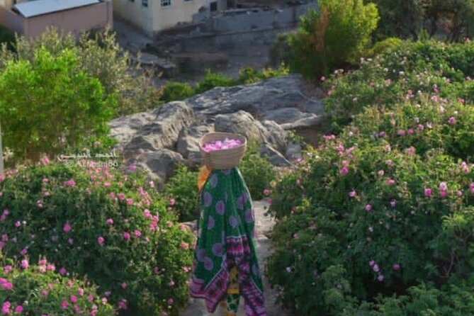 Private Oman Full Day Guided Sightseeing Tour - Jabal Akhdar: a five-hour climb into the mountains