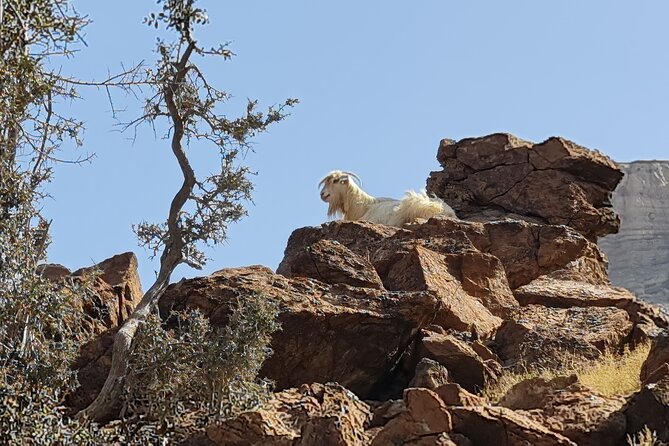 Private Overnight Jebel Shams Camping Tour - Day 2 reaches Oman’s famous canyon