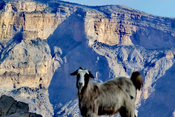 Private Overnight Nizwa & Jebel Akhdar Tour from Muscat - Jebel Akhdar brings the first night and cooler mountain views