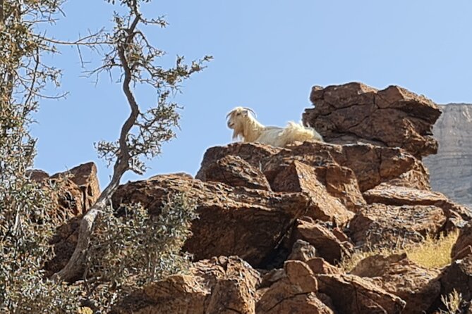 Private Overnight Nizwa & Jebel Akhdar Tour from Muscat - Jebel Shams opens Day 2 with Oman’s Grand Canyon