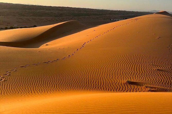 Private Safari tour and Wadi in 4x4 with a local guide - Key points to know before you book