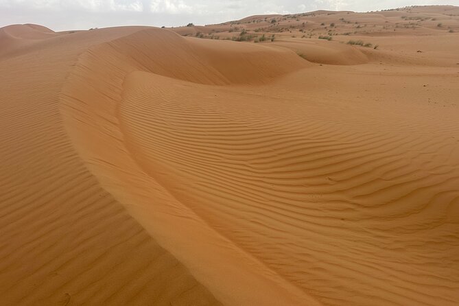 Private Safari tour and Wadi in 4x4 with a local guide - The wadi stop: water, palms, and mountain cliffs