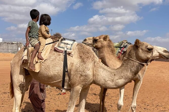 Private Sunset Watching Desert Safari with Dinner - Is $237 Per Person Good Value?