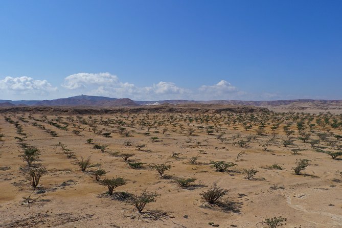 Private tour - Empty Quarter desert adventure - Wadi Dawka + Ubar - Why this Salalah desert day works