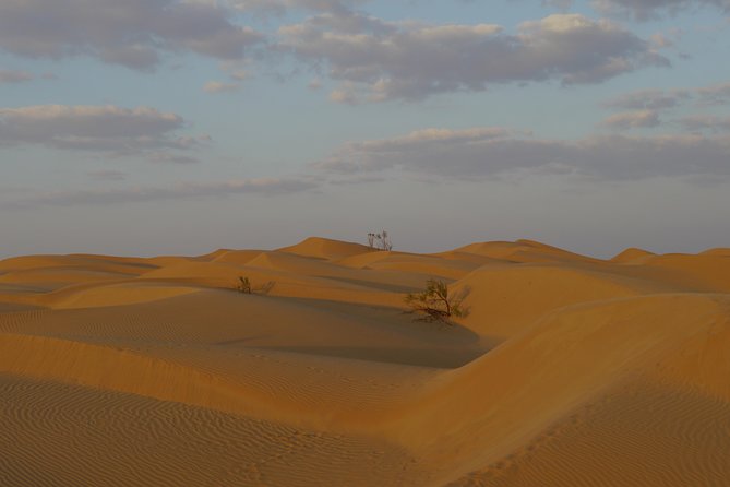 Private tour - Empty Quarter desert adventure - Wadi Dawka + Ubar - Who will enjoy this tour most