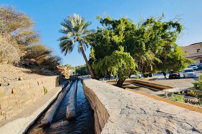 Private Tour to Jebel Akhdar Al Suwjara Village - What $180 includes, and what it does not