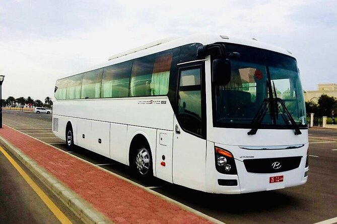 Private Transfer From Muscat To Wadi Shab And Back - Who will enjoy this private Wadi Shab transfer?