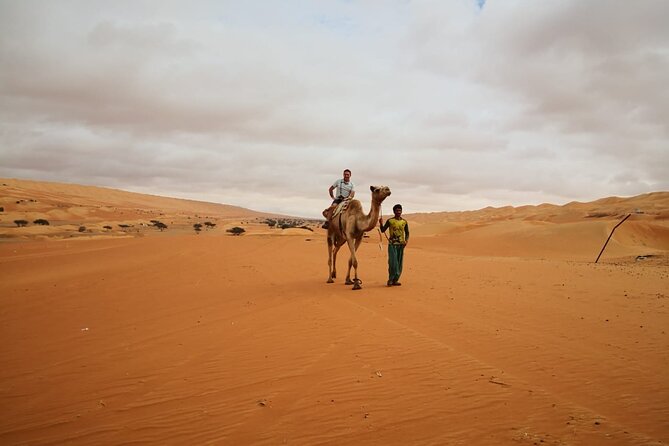 Private Transfer from Muscat to Wahiba Sand Desert by 4WD Vehicle - Desert activities connected with the service