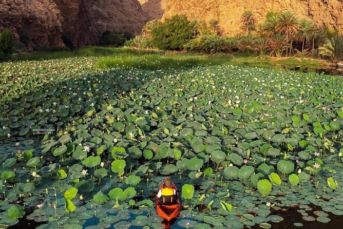 Private Trip in Wadi Shab - Key Points Before You Book
