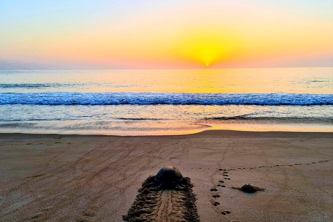 Private Wadi Shab - Ras Al Hadd Overnight - 2 Days Tours - What this two-day Oman route really covers
