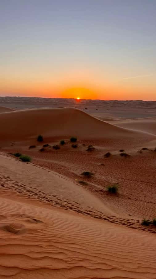 Safari World Zoo and Wahiba Sands with Sunset - Guides Make the Biggest Difference