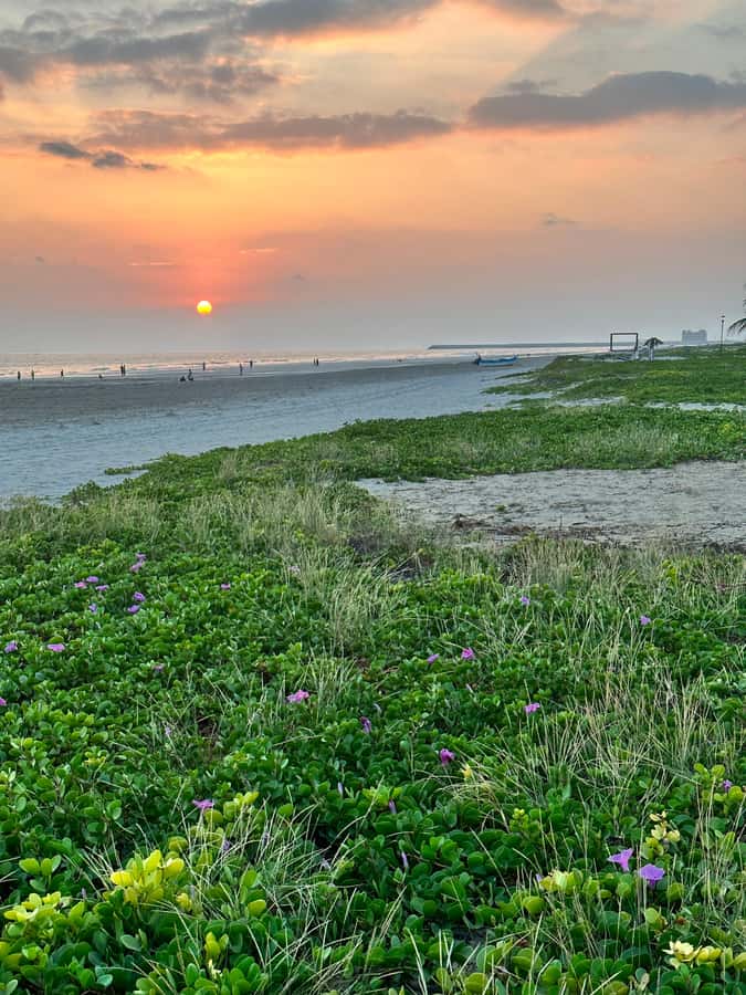 Salalah a combination of East and West tour - Wadi Derbat and the tour’s strongest nature stop