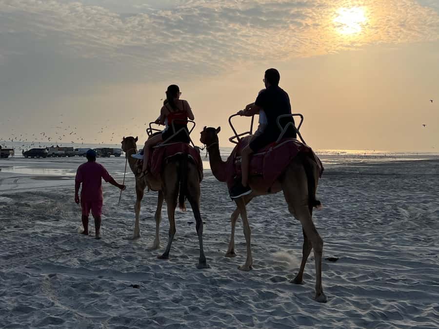 Salalah: Camel Riding on the Beach - Key points to know before booking