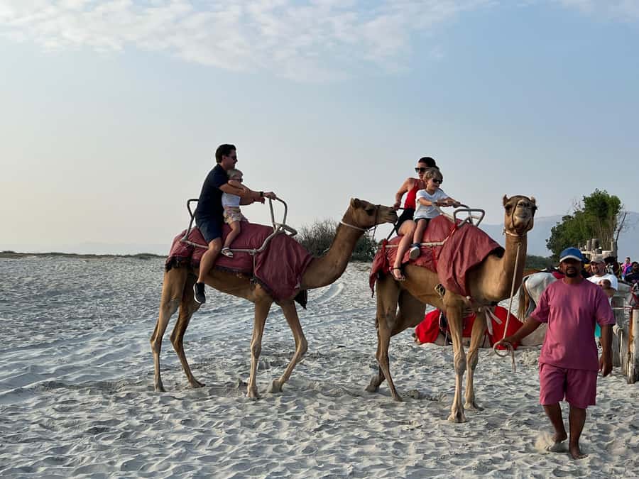 Salalah: Camel Riding on the Beach - A quiet ride beside Salalah’s Indian Ocean