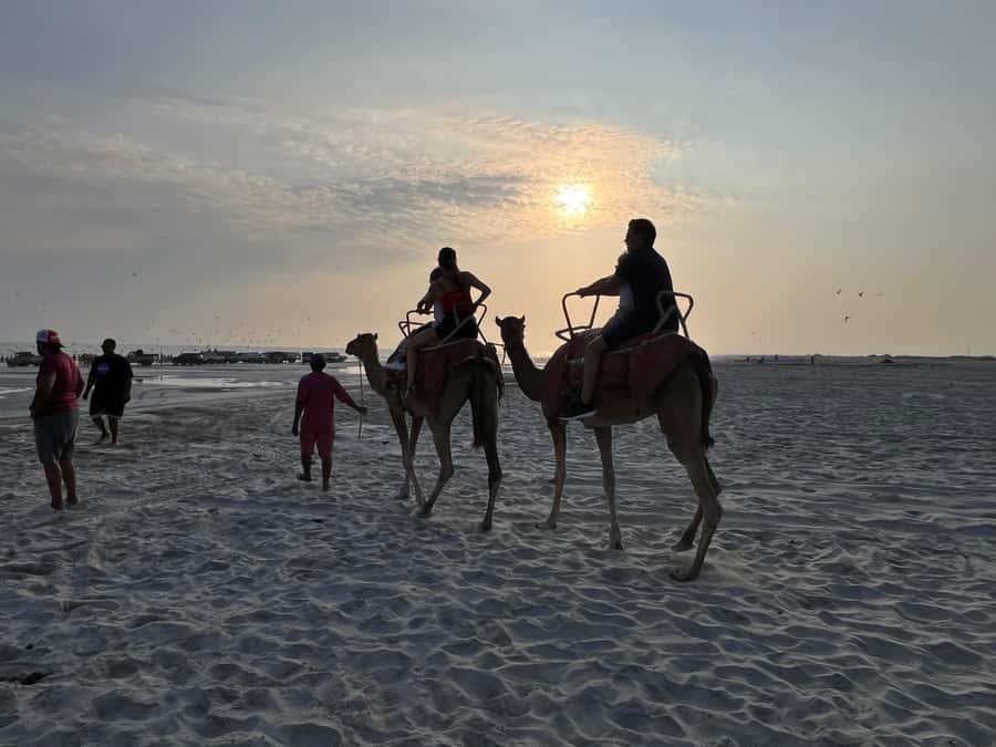 Salalah: Camel Riding on the Beach - What happens during the 30-minute or one-hour ride