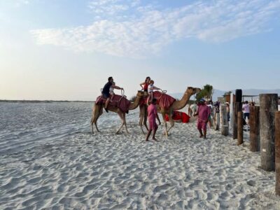 Camel Riding on the Beach