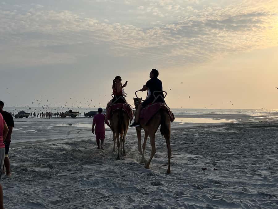 Salalah: Camel Riding on the Beach - The photo factor and the beach atmosphere