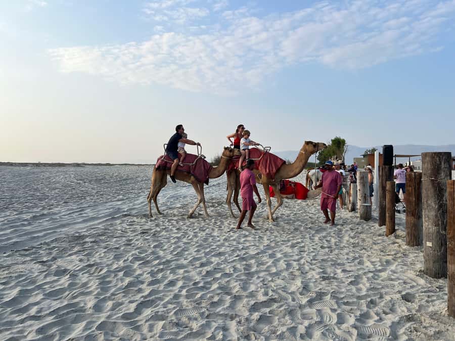 Salalah: Camel Riding on the Beach - Finding the meeting point at the beach club