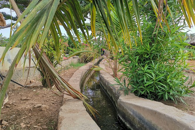 Salalah City private tour - all-inclusive sightseeing tour - Fragrance and Shopping at Al-Husn Souq
