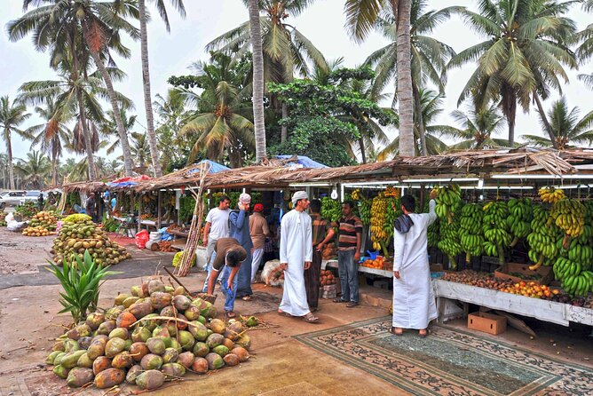 Salalah City tour - Timing, group size, and comfort