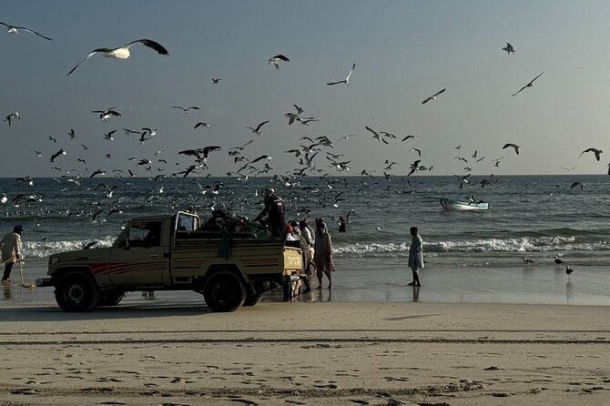 Salalah City Tour: Discover Salalahs Treasures with a Local Guide - How much value do you get for $125?